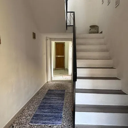 Tepilora Torpè